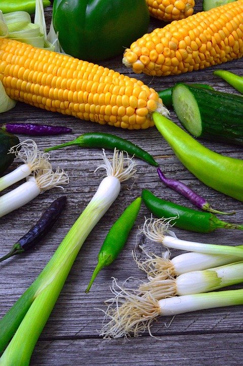 Endless Struggle: Nothing Works to Lose Weight No Matter What I Try