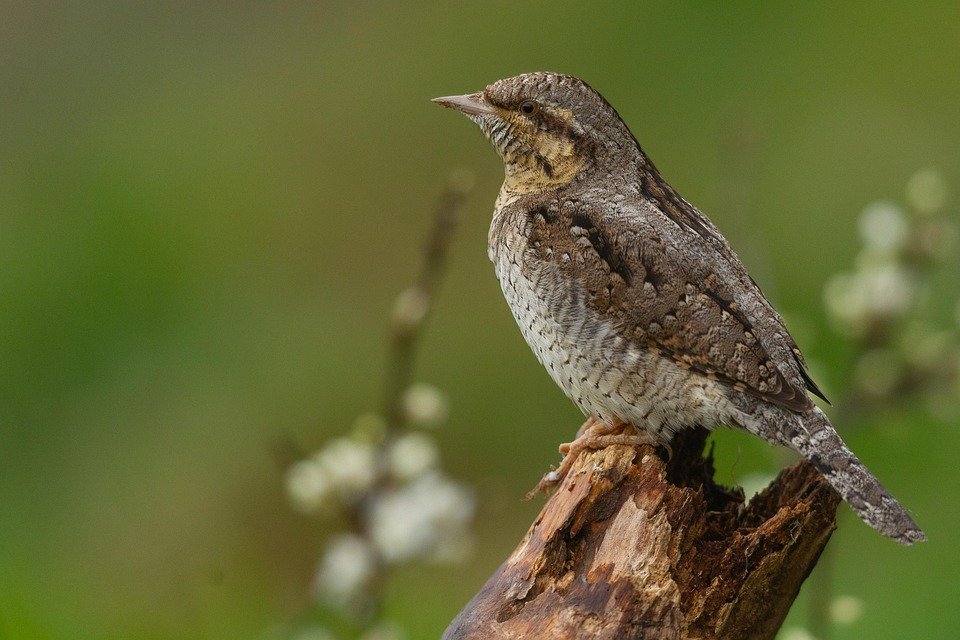 Is Your Heavy Head and Stiff Neck Ruining Your Life? Find Out Now!