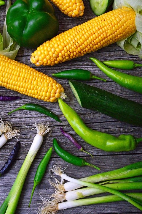 Nothing Works: The Pain of Struggling to Lose Weight