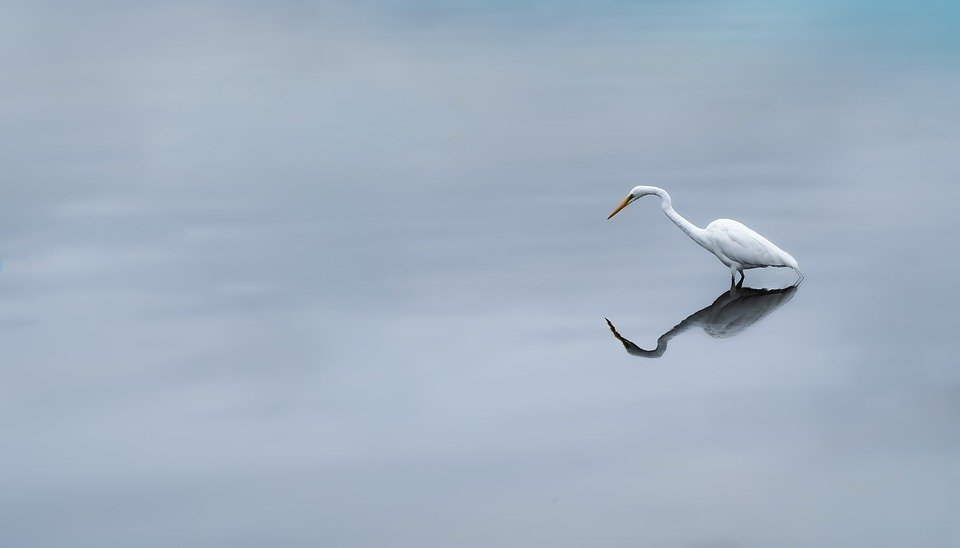 Feeling Weak as a Diabetic? Discover the Shocking Truth!