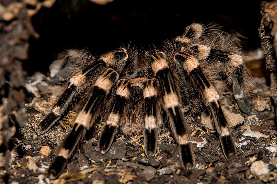 Are Tingling Hands a Hidden Warning Sign of Diabetes?