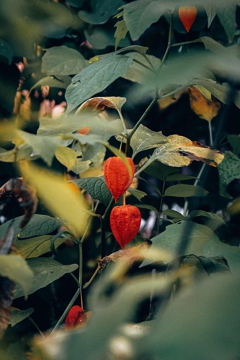 Are You Constantly Struggling to Fully Empty Your Bladder?