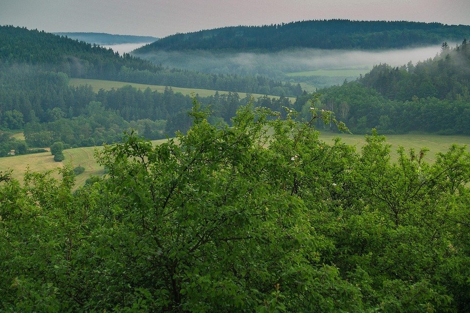 Boost Your Immunity and Fight Herpes: Discover the Secrets Now!