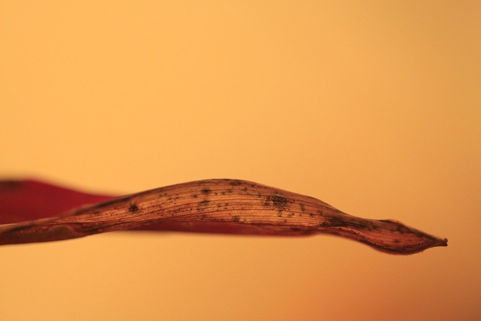 Feeling Weak as a Diabetic? Discover the Hidden Truth Now!