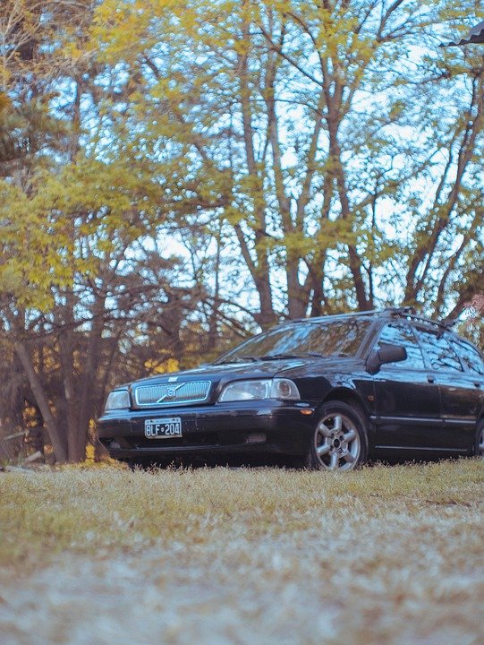 Shocking Truth: Memory Problems Can Strike Before 40!