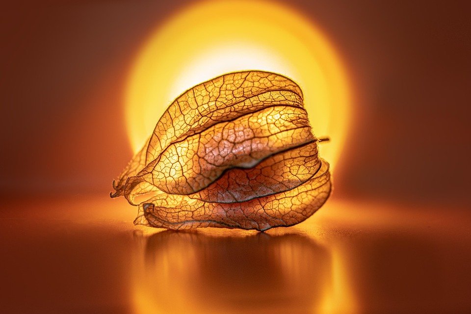 Struggling to Empty Your Bladder? Discover the Hidden Truth!