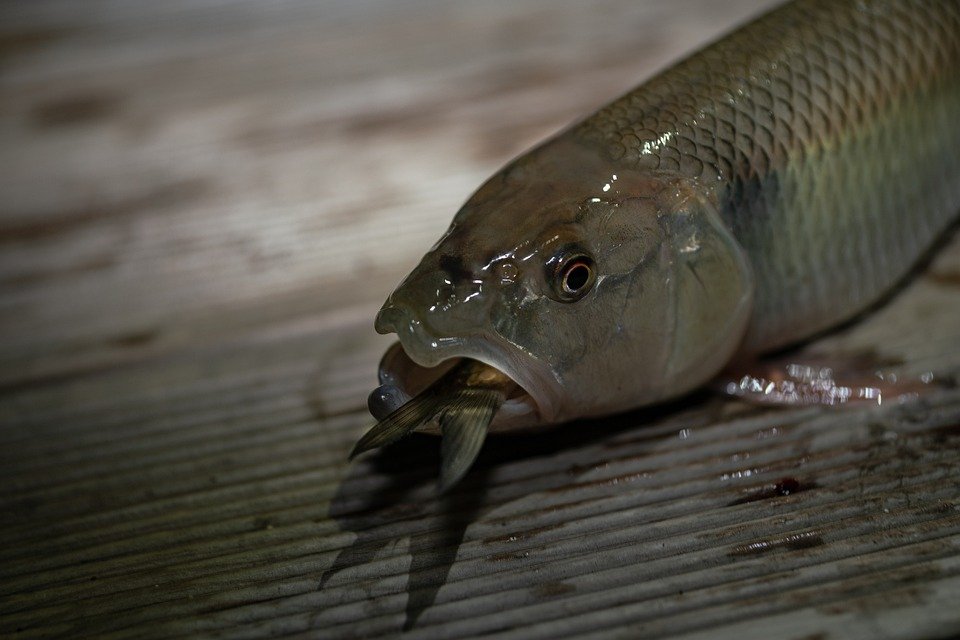 Struggling with Diabetes? Discover the Hidden Reasons for Your Weakness!