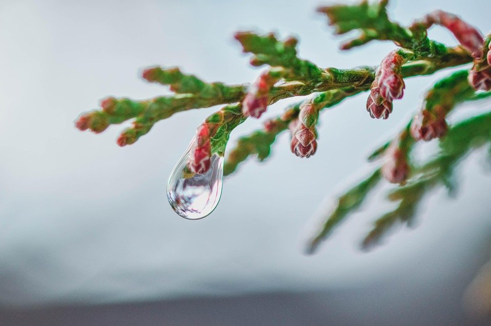 Wake Up in Tears: The Shocking Truth Behind Morning Heel Pain!