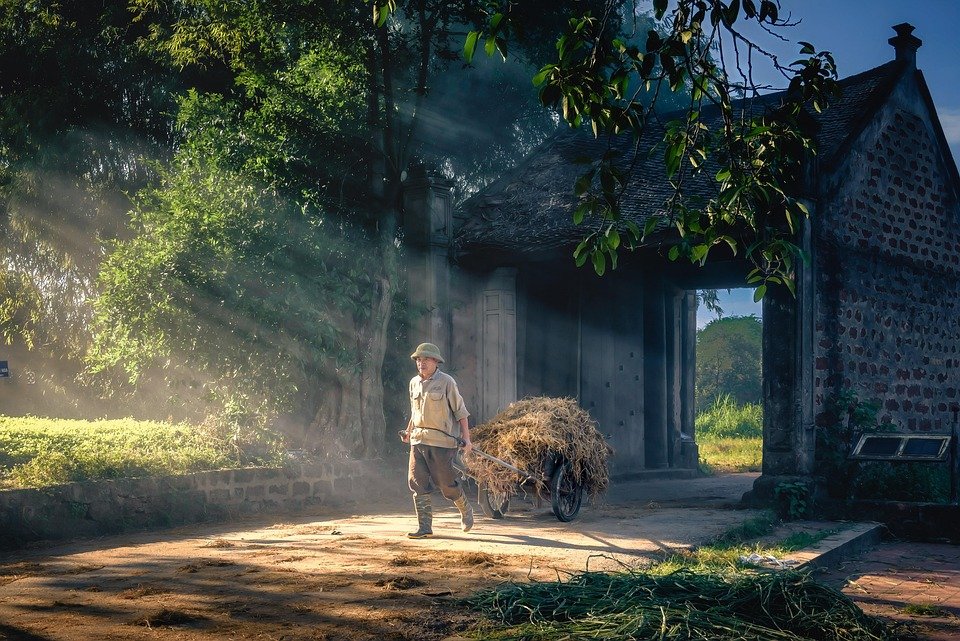 Are You Suffering from a Daily High-Pitched Sound in Your Head?