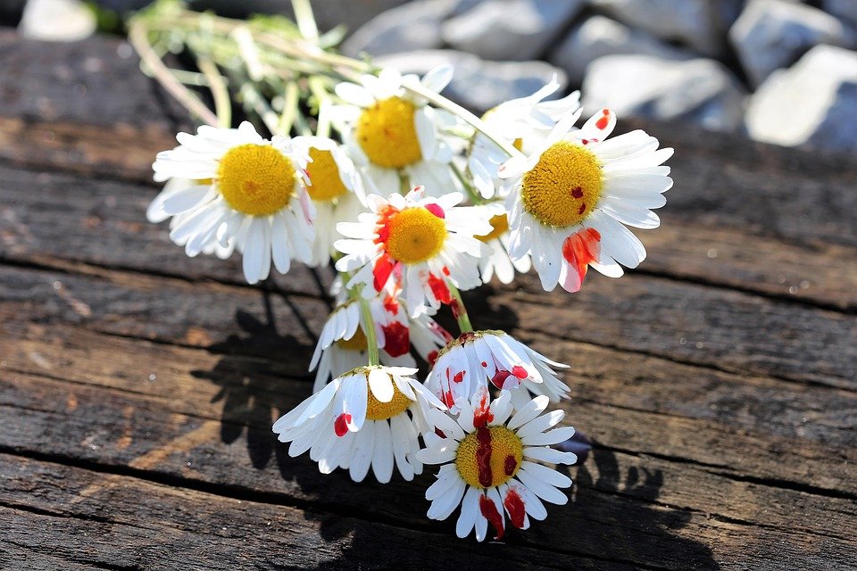 Is Stress Killing You? Discover the Shocking Link to High Blood Pressure!