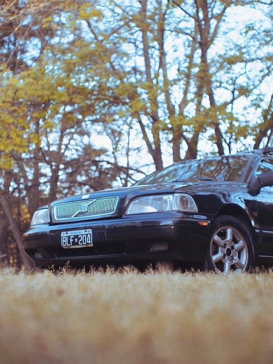 Is Your Memory Fading Before 40? Discover the Shocking Truth!