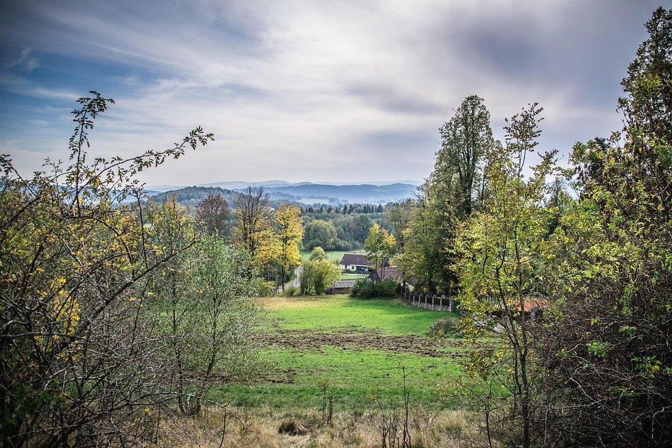 Struggling with Herpes? Discover 5 Surprising Immunity Boosters!