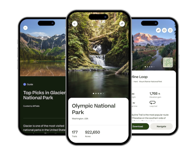 The Fifth House in Astrology: A Guide to Your Personal Pleasure